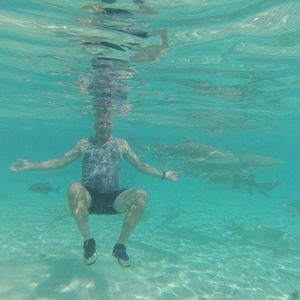 Meet your Posher, Paul